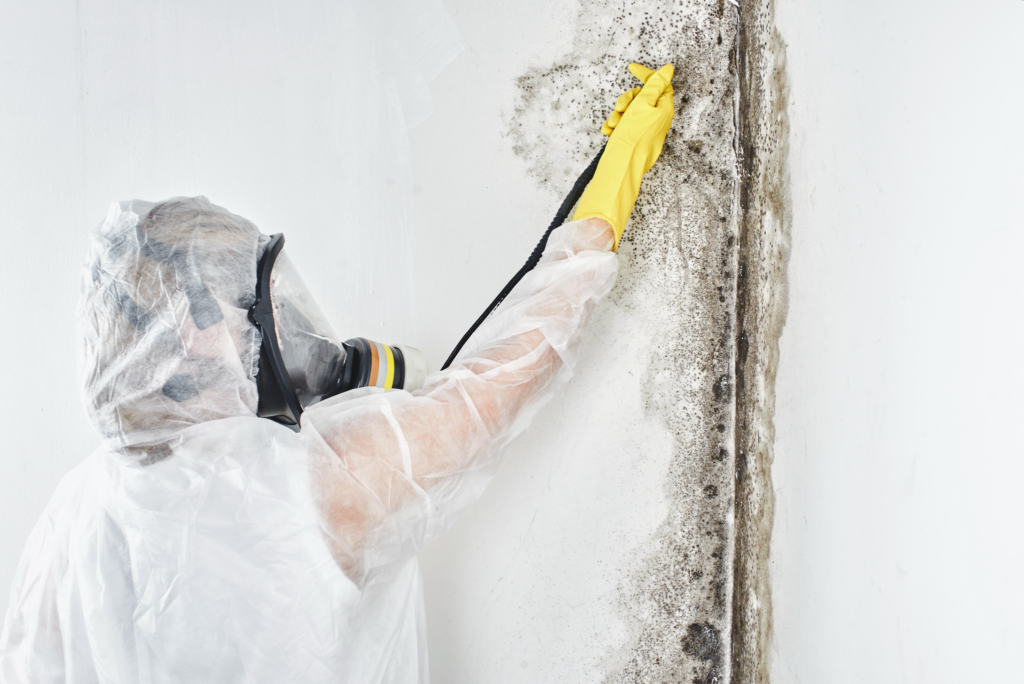 A professional disinfector in overalls processes the walls from mold.